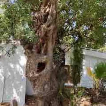 In Pueblo With Private Pool And Sea Views And Four Bedrooms Villa *